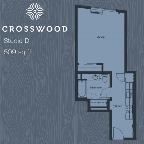 Floor plan for studio, 1 bath, 509 sqft